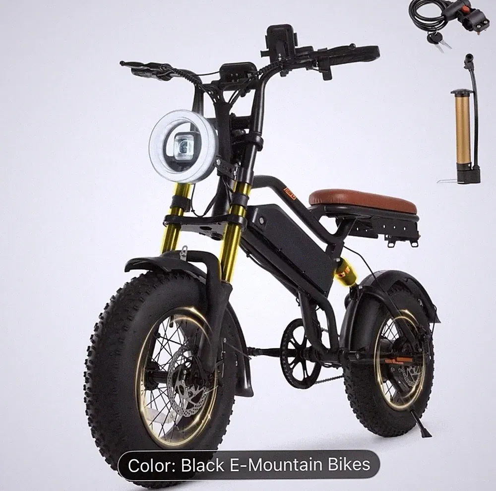 Digital Display Fat Tire