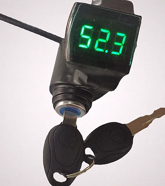 Digital Display Adult