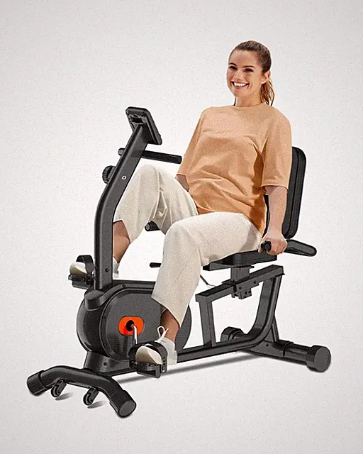 ECHANFIT Recumbent Exercise Bike for Home - 380LBS Weight Capacity, Exercise...