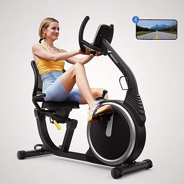 Seniors Recumbent Cardio Exercise Bike Smart Bluetooth LCD Display For Home Gym