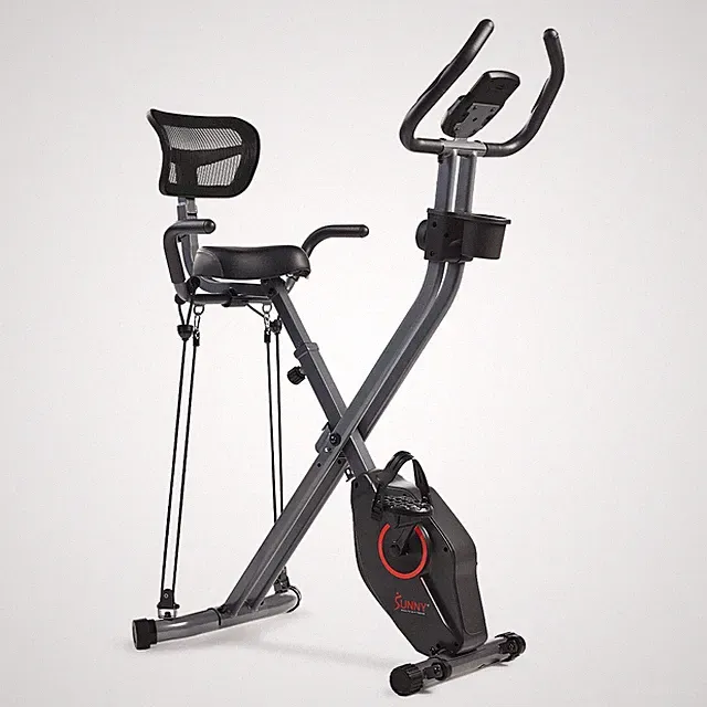 Sunny Health & Fitness Foldable Magnetic Recumbent Exercise X-Bike